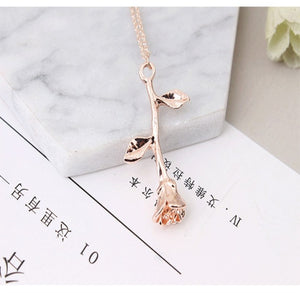Fashion Jewelry Necklace Women's Beauty