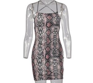 Sexy Bodycon Women Dress