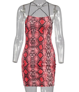 Sexy Bodycon Women Dress